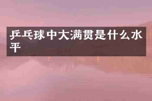 乒乓球中大满贯是什么水平
