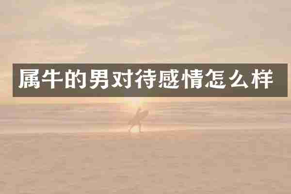 属牛的男对待感情怎么样