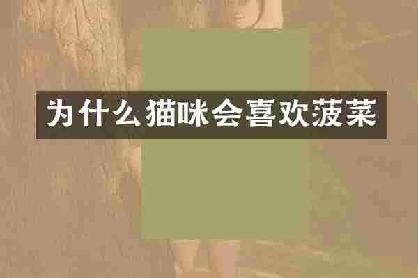 为什么猫咪会喜欢菠菜