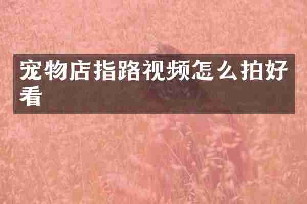 宠物店指路视频怎么拍好看
