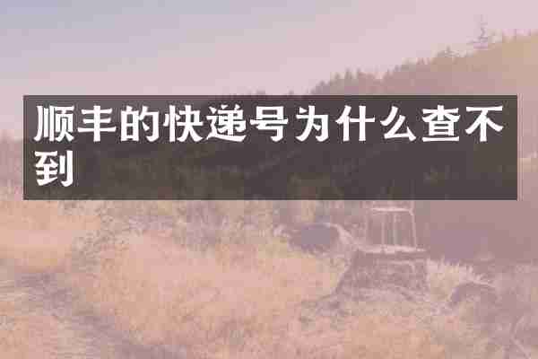 顺丰的快递号为什么查不到
