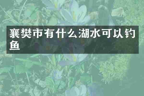 襄樊市有什么湖水可以钓鱼