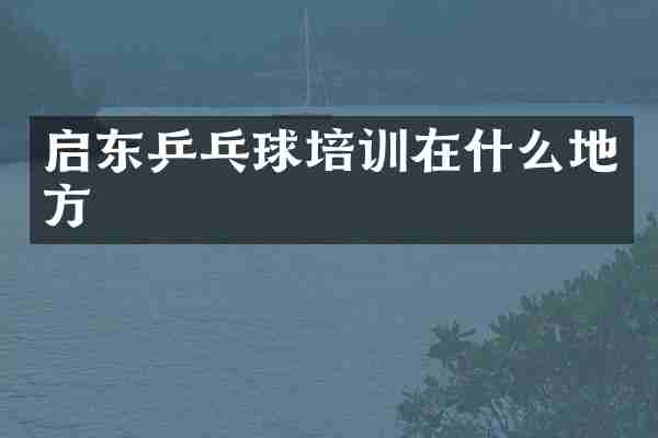 启东乒乓球培训在什么地方