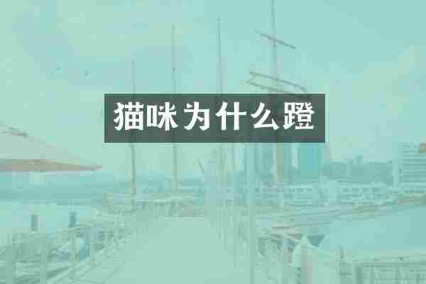 猫咪为什么蹬
