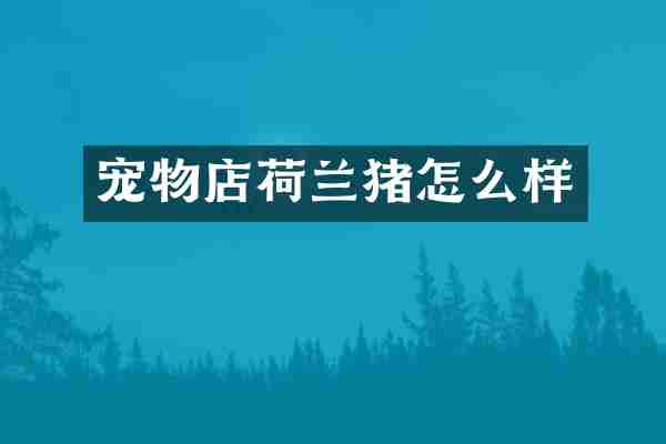宠物店荷兰猪怎么样