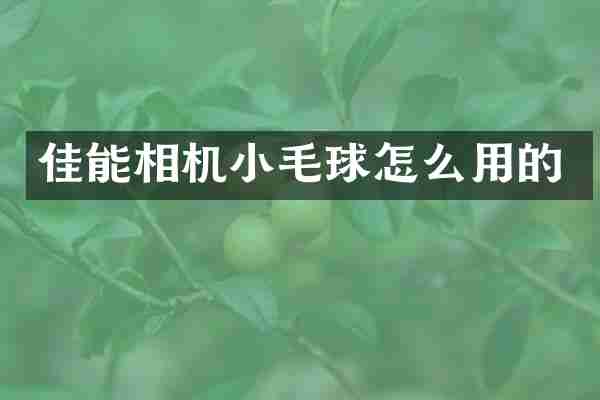 佳能相机小毛球怎么用的
