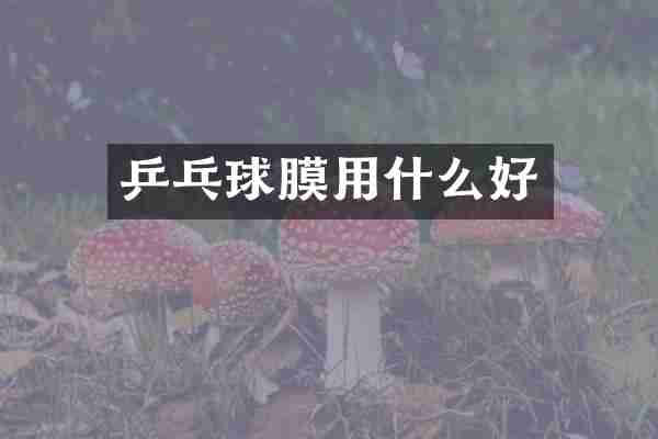乒乓球膜用什么好