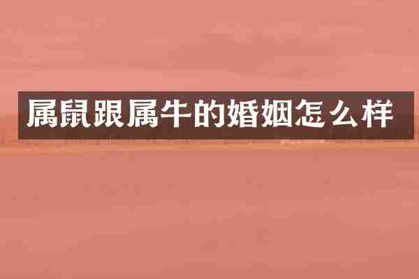属鼠跟属牛的婚姻怎么样