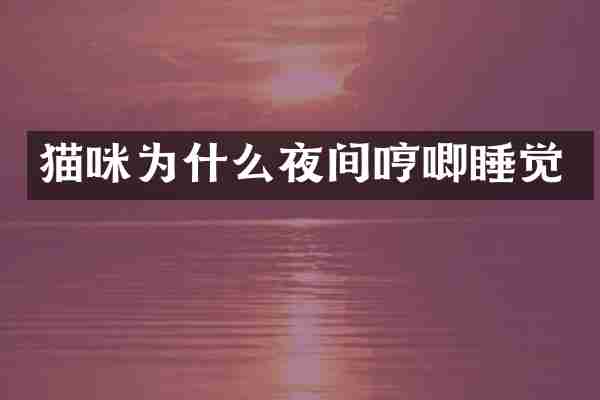 猫咪为什么夜间哼唧睡觉