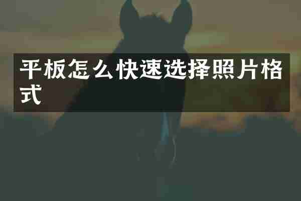 平板怎么快速选择照片格式