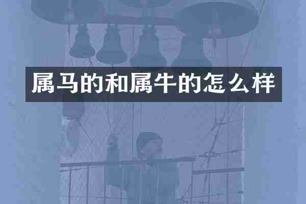 属马的和属牛的怎么样