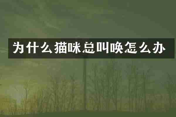 为什么猫咪总叫唤怎么办