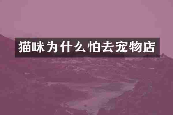 猫咪为什么怕去宠物店