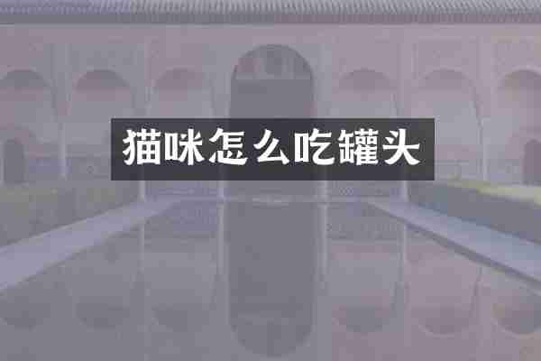 猫咪怎么吃罐头