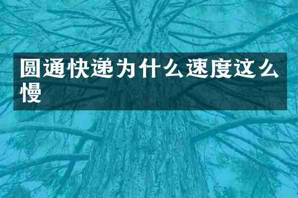 圆通快递为什么速度这么慢