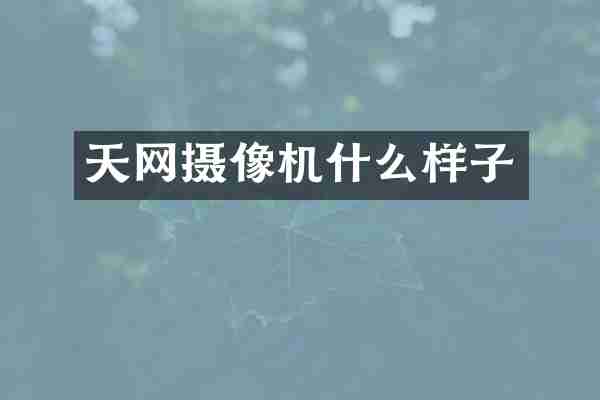 天网摄像机什么样子