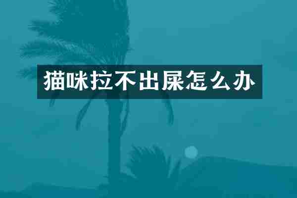 猫咪拉不出屎怎么办