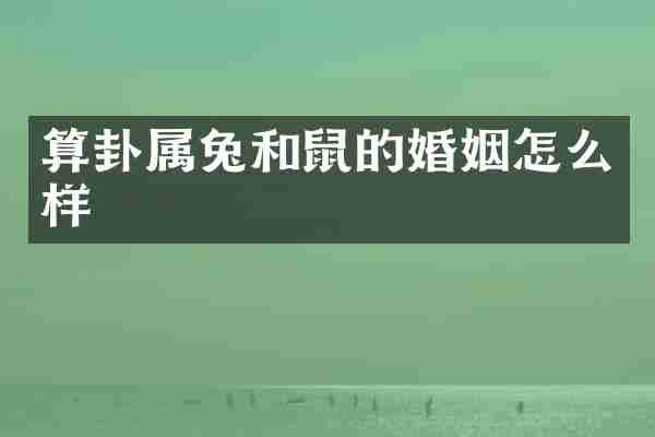 算卦属兔和鼠的婚姻怎么样