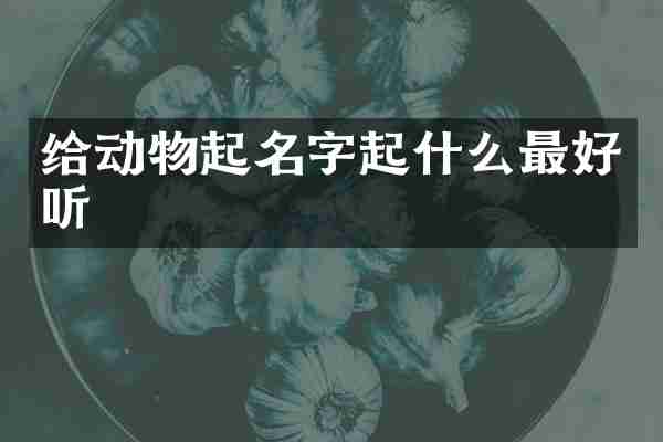 给动物起名字起什么最好听
