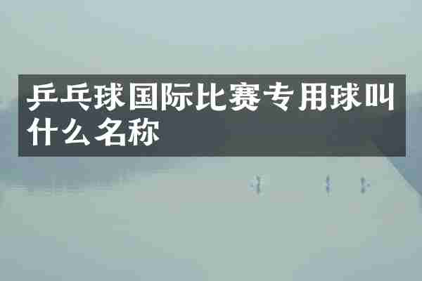乒乓球国际比赛专用球叫什么名称