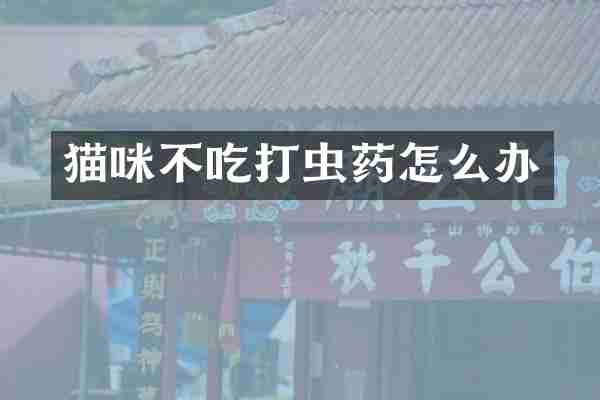 猫咪不吃打虫药怎么办