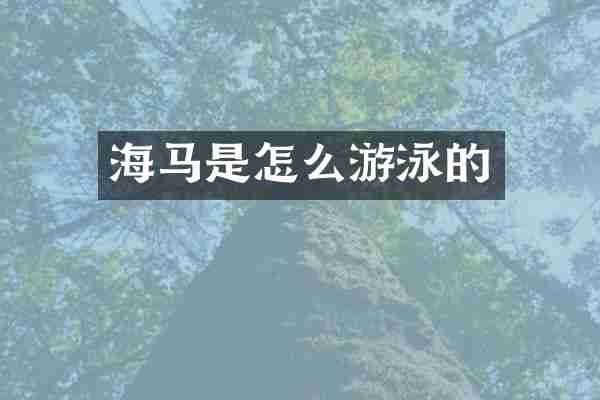 海马是怎么游泳的