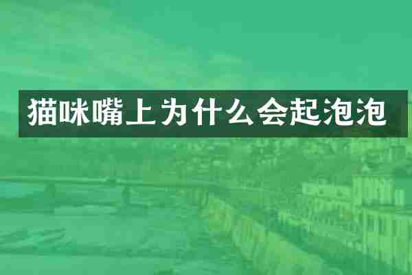 猫咪嘴上为什么会起泡泡