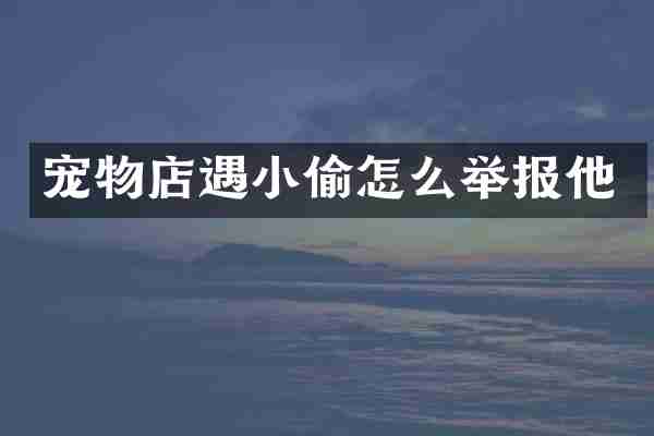 宠物店遇小偷怎么举报他