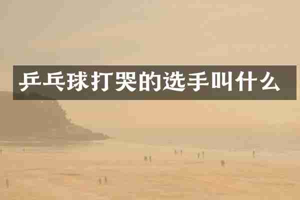 乒乓球打哭的选手叫什么