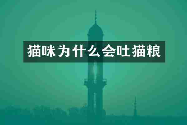 猫咪为什么会吐猫粮