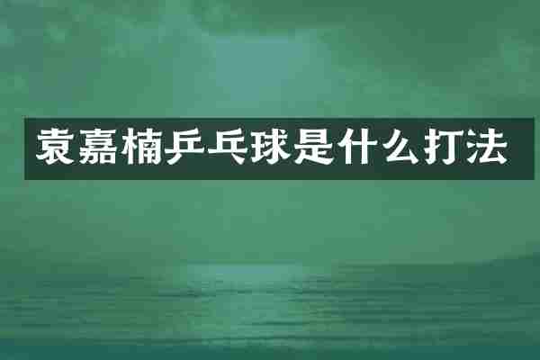 袁嘉楠乒乓球是什么打法