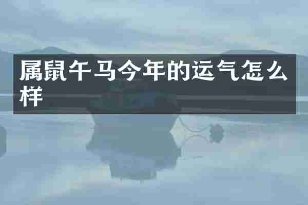 属鼠午马今年的运气怎么样