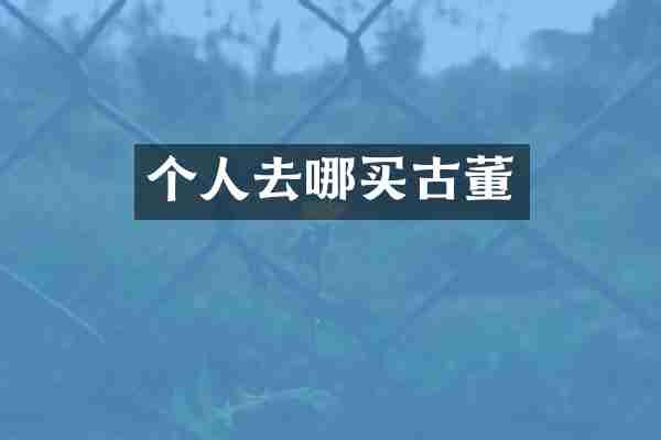 个人去哪买古董