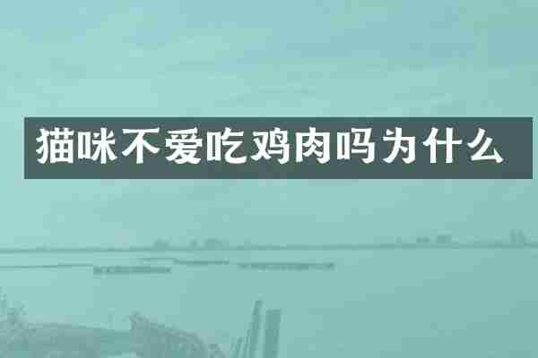 猫咪不爱吃鸡肉吗为什么