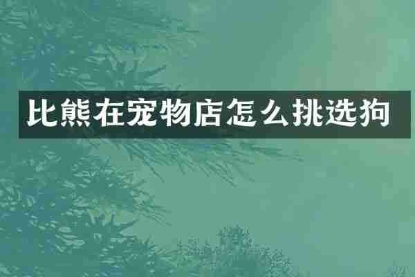 比熊在宠物店怎么挑选狗