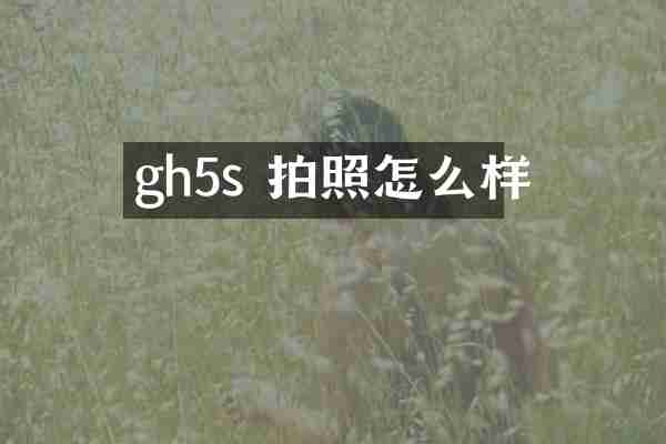 gh5s 拍照怎么样