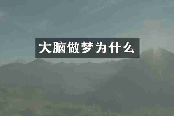 大脑做梦为什么