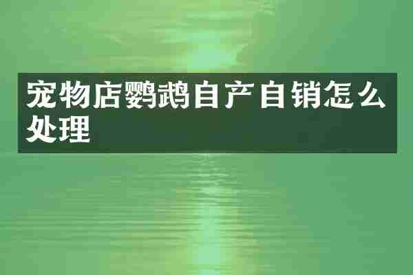 宠物店鹦鹉自产自销怎么处理