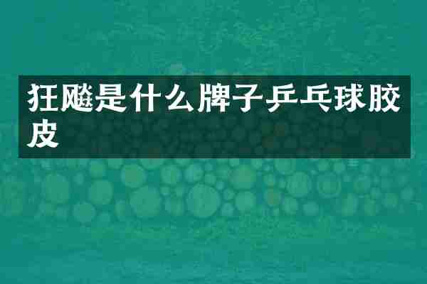 狂飚是什么牌子乒乓球胶皮
