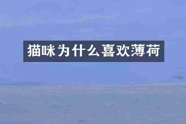 猫咪为什么喜欢薄荷