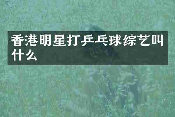 香港明星打乒乓球综艺叫什么