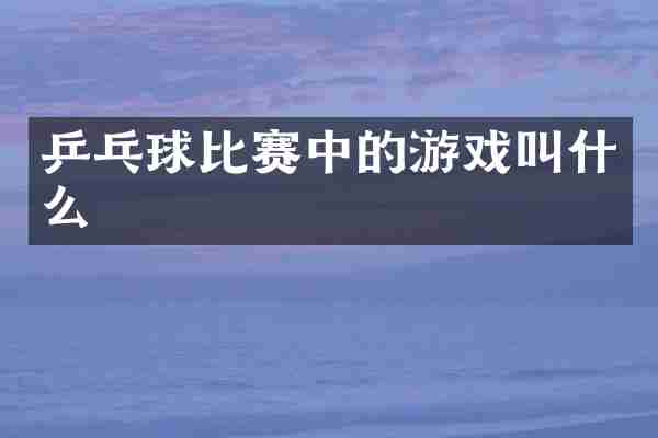 乒乓球比赛中的游戏叫什么