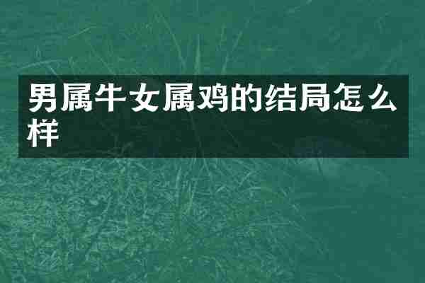 男属牛女属鸡的结局怎么样