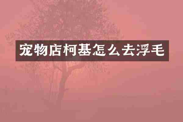 宠物店柯基怎么去浮毛