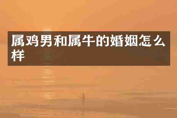 属鸡男和属牛的婚姻怎么样