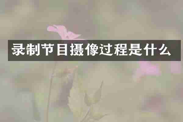 录制节目摄像过程是什么