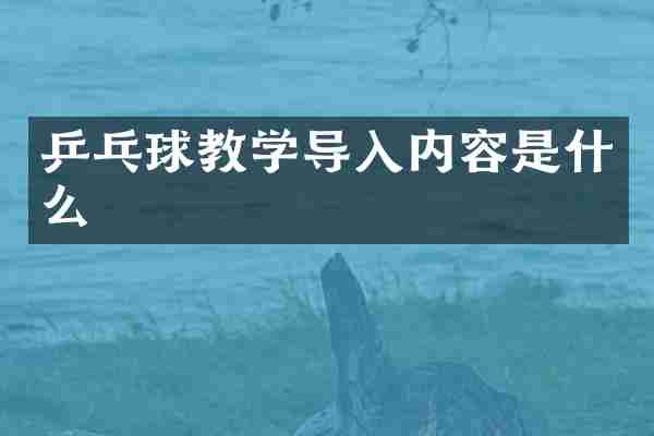 乒乓球教学导入内容是什么