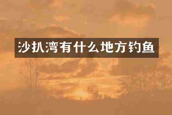 沙扒湾有什么地方钓鱼