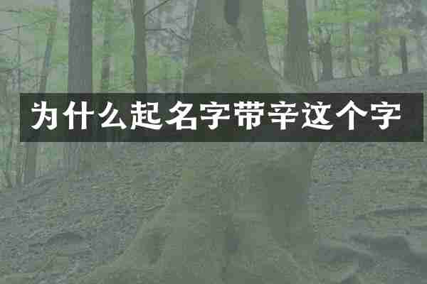 为什么起名字带辛这个字