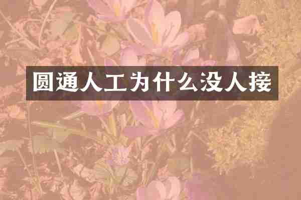圆通人工为什么没人接